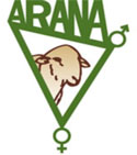 Arana